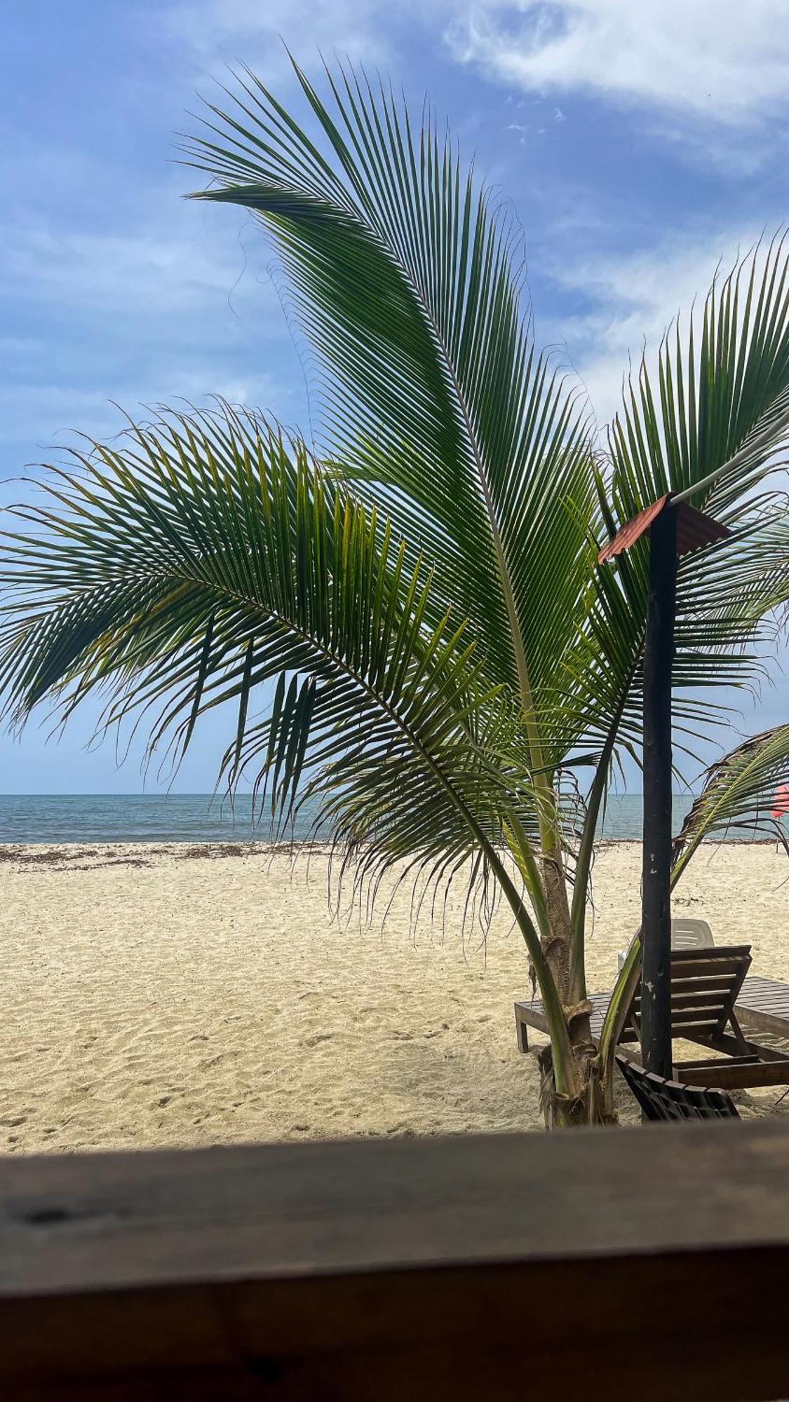 Hostal Mocambo Beach Guachaca Eksteriør billede